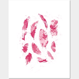 Pink Feathers Posters and Art